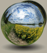 Elk Island Park Gallery